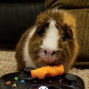 Meet your Posher, Jillian